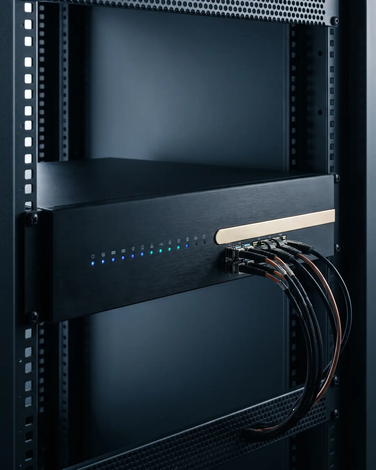 A matte-black security appliance in a rack with a row of blue status lights, a brass accent strip and connected cables.